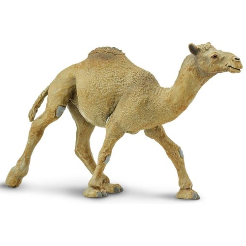 Safari ltd dromedary camel - safari,