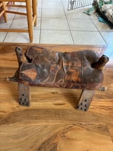 Egyptian distressed camel - egyptian,
